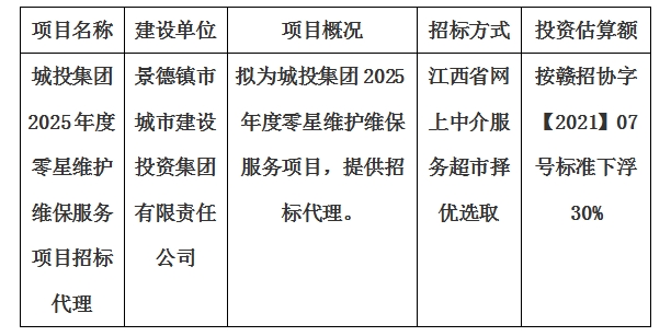 城投集團2025年度零星維護維保服務項目招標代理計劃公告