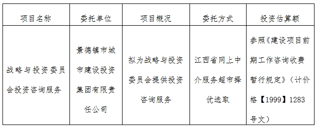 戰略與投資委員會投資咨詢服務計劃公告　　