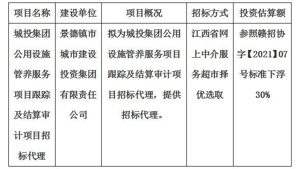 城投集團公用設(shè)施管養(yǎng)服務(wù)項目跟蹤及結(jié)算審計項目招標(biāo)代理計劃公告